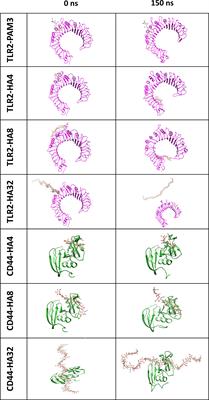 Hyaluronan regulates sperm-induced inflammatory response by enhancing sperm attachment to bovine endometrial epithelial cells via CD44: in-silico and in-vitro approaches